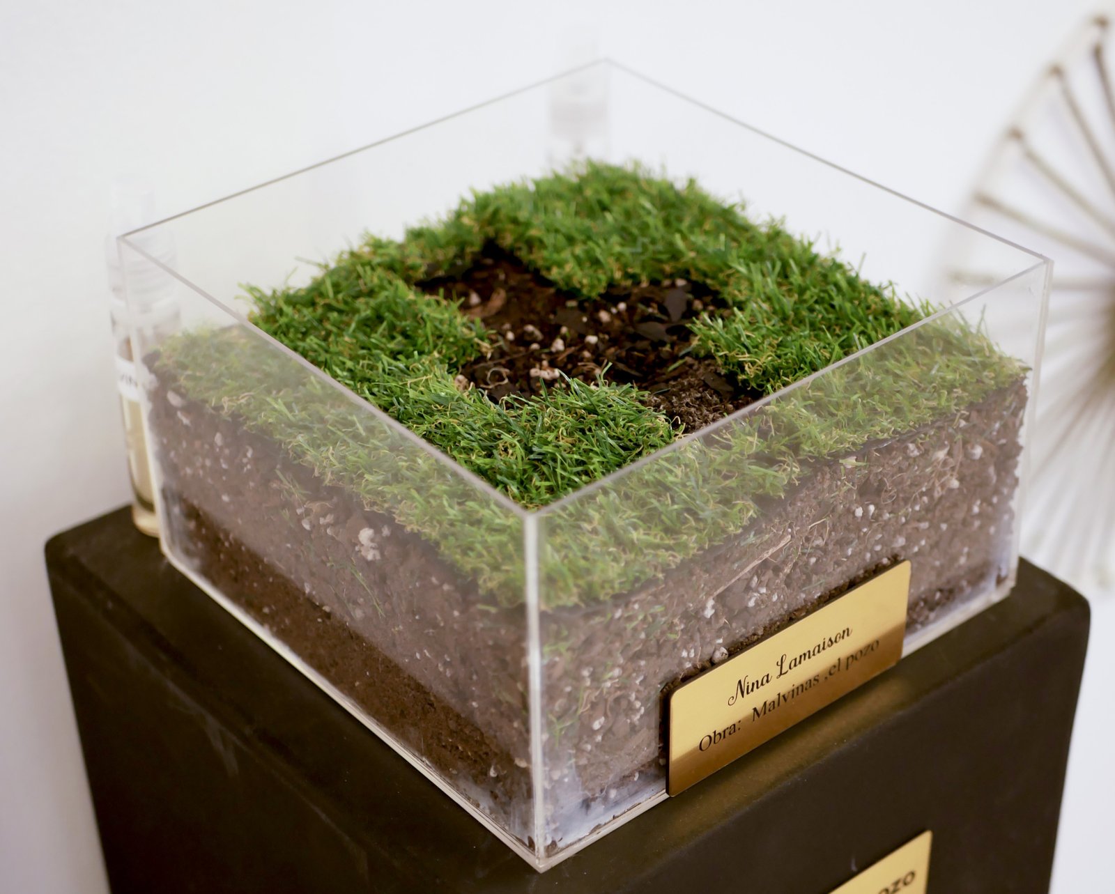 Memoria eterna — Malvinas